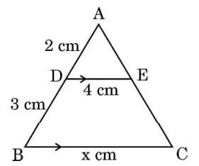 CBSE Class 10 Maths 2023 Topper's Answer Sheet