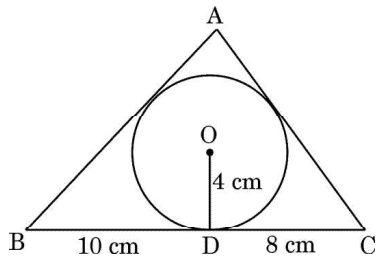 CBSE Class 10 standard Maths 2023 Topper Answer Sheet