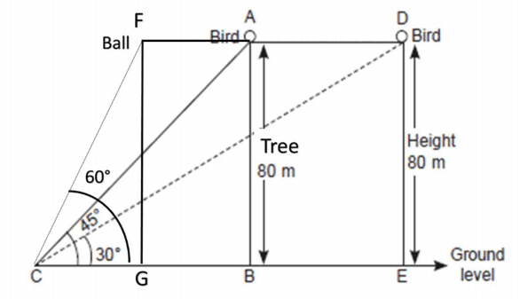 cbse class 10 maths important case based questions