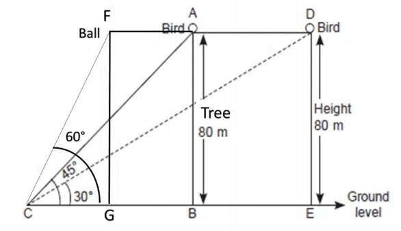 cbse class 10 maths important case based questions