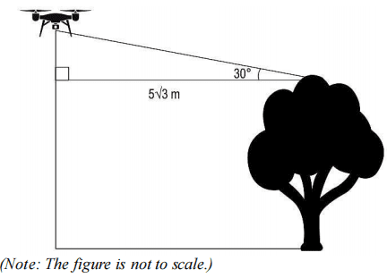 cbse class 10 maths important case based questions