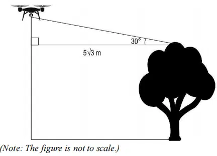 cbse class 10 maths important case based questions
