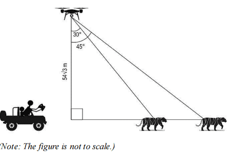 case study based questions on height and distance class 10