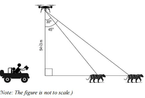CBSE Class 10 Maths: Top Case-Based Questions