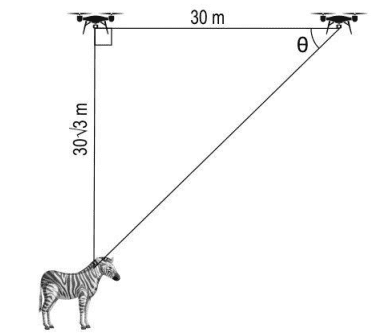 case study based questions on height and distance class 10