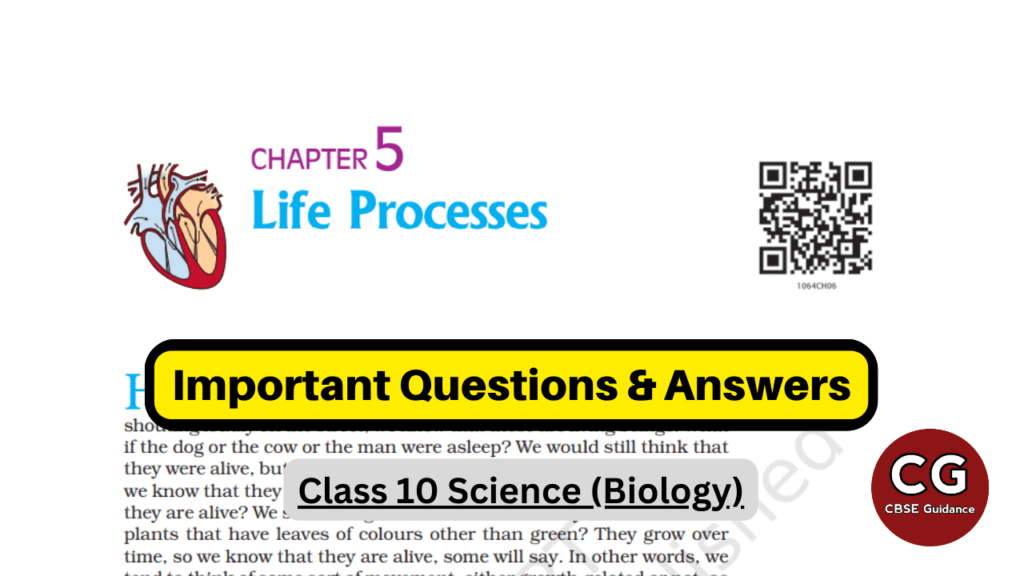life processes class 10 important questions answers pdf