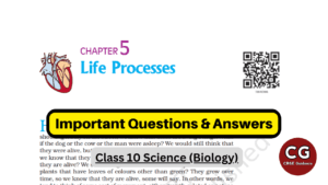 life processes class 10 important questions for board exam 2024
