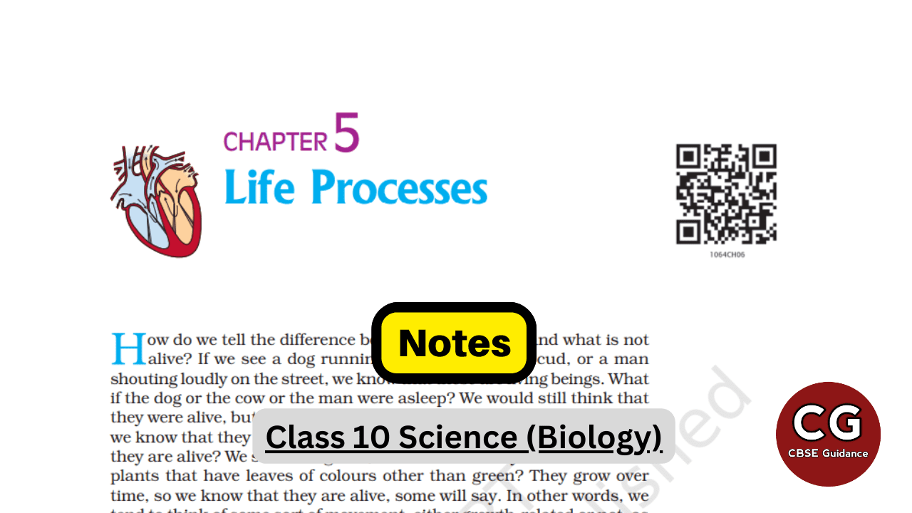 Life processes class 10 notes simplified and easy to understand cbse