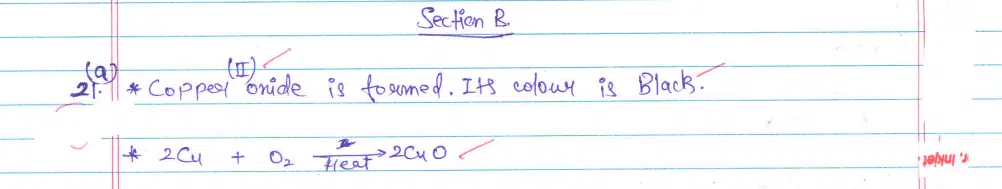 CBSE Class 10 Science 2024 Topper’s Answer Sheet: Download with Solutions