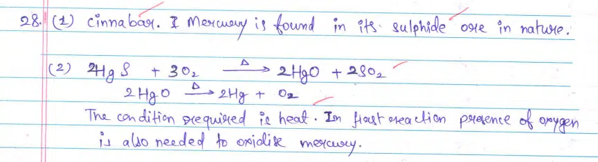 CBSE Class 10 Science 2024 Topper’s Answer Sheet: Download with Solutions