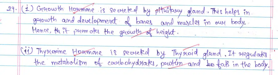 CBSE Class 10 Science 2024 Topper’s Answer Sheet: Download with Solutions