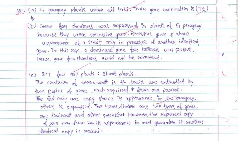 CBSE Class 10 Science 2024 Topper’s Answer Sheet: Download with Solutions