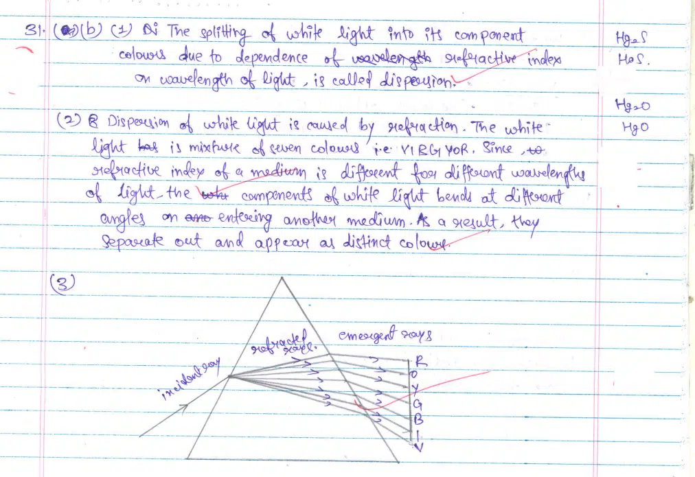CBSE Class 10 Science 2024 Topper’s Answer Sheet: Download with Solutions