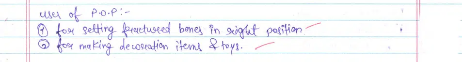 CBSE Class 10 Science 2024 Topper’s Answer Sheet: Download with Solutions