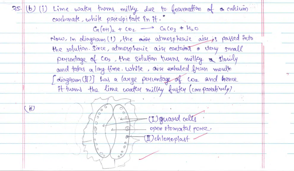 CBSE Class 10 Science 2024 Topper’s Answer Sheet: Download with Solutions