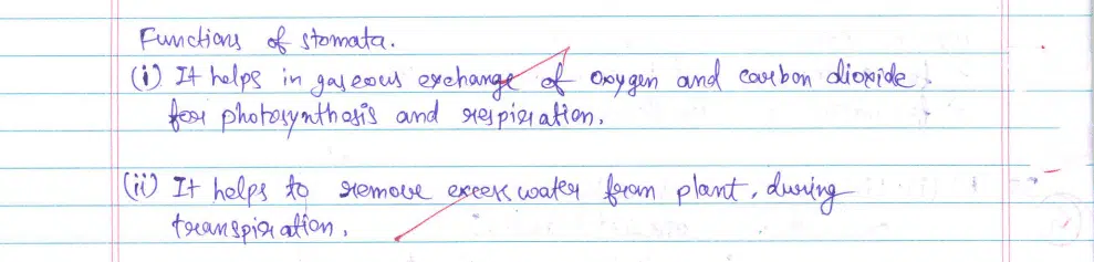 CBSE Class 10 Science 2024 Topper’s Answer Sheet: Download with Solutions