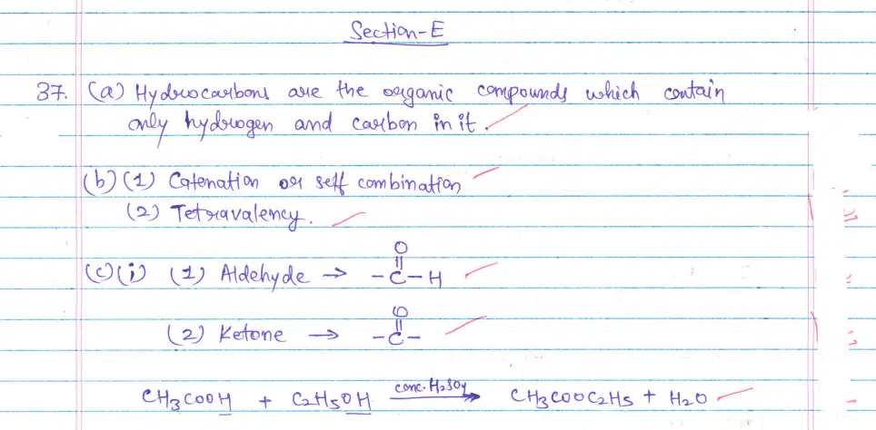 CBSE Class 10 Science 2024 Topper’s Answer Sheet: Download with Solutions