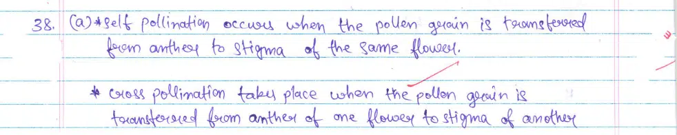 CBSE Class 10 Science 2024 Topper’s Answer Sheet: Download with Solutions