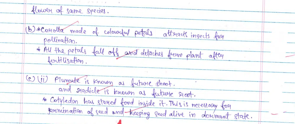 CBSE Class 10 Science 2024 Topper’s Answer Sheet: Download with Solutions