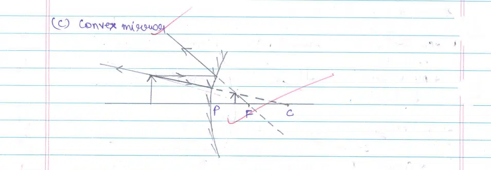 CBSE Class 10 Science 2024 Topper’s Answer Sheet: Download with Solutions