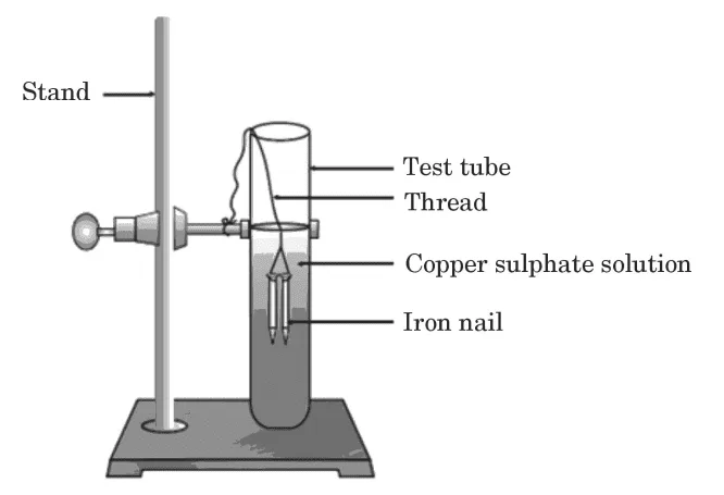 CBSE Class 10 Science 2024 Topper’s Answer Sheet: Download with Solutions