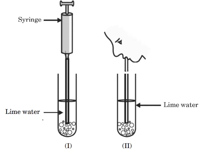 CBSE Class 10 Science 2024 Topper’s Answer Sheet: Download with Solutions