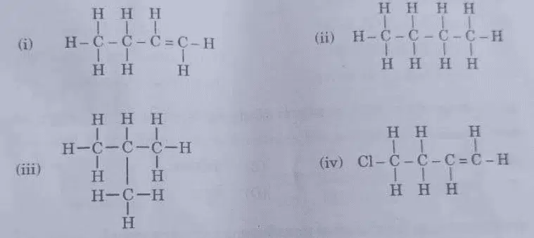 CBSE Class 10 Science Board Exam 2025 Answer Key & Solutions – Download PDF