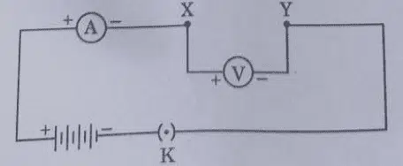 CBSE Class 10 Science Board Exam 2025 Answer Key & Solutions – Download PDF
