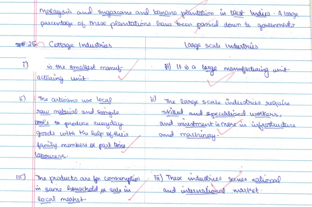 CBSE Class 12 Geography 2024 Topper’s Answer Sheet – Download PDF & Analysis