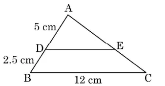 CBSE Class 10 Maths Topper's Answer Sheet 2024: PDF Download & Analysis