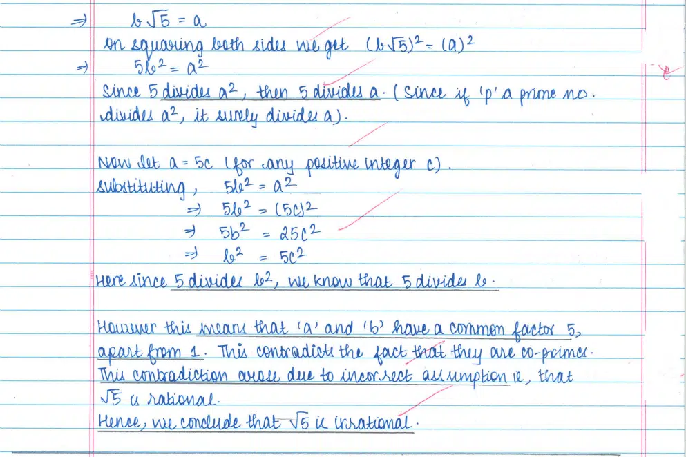 CBSE Class 10 Maths Topper's Answer Sheet 2024: PDF Download & Analysis