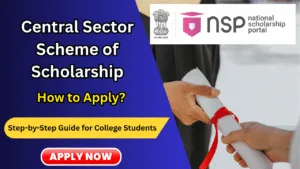 central sector scheme of scholarship application process