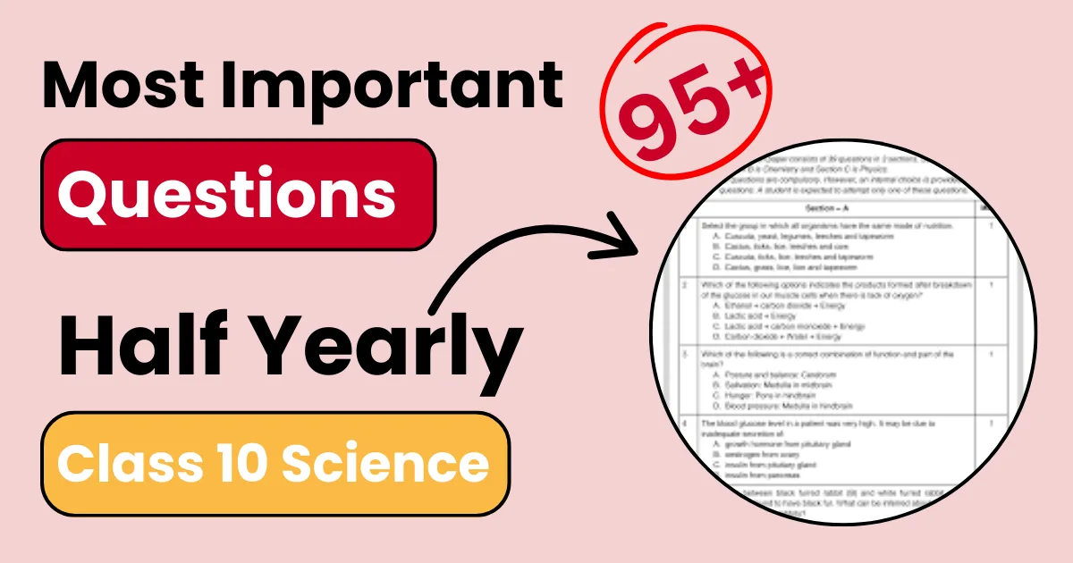 Most Expected Questions for Half-Yearly Exams – Class 10 Science