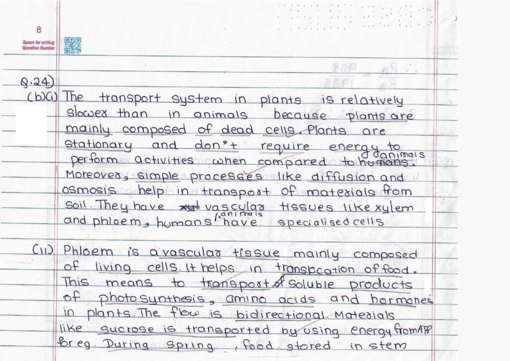 Score 80/80: CBSE Class 10 Science Topper Answer Sheet 2025 PDF + Marking Scheme