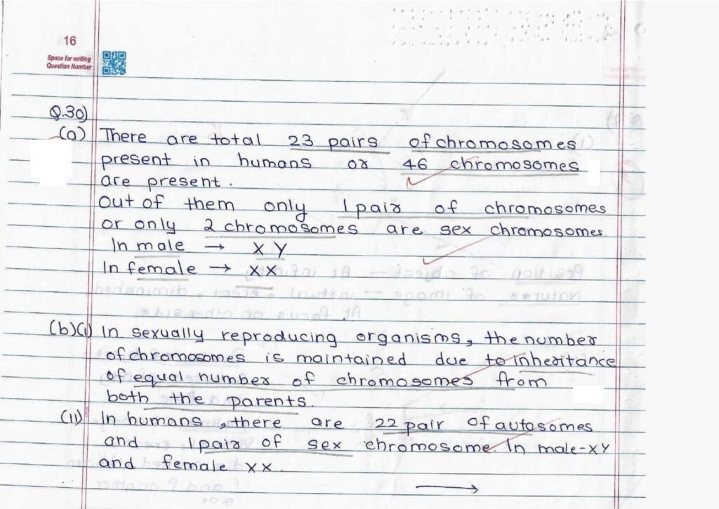 Score 80/80: CBSE Class 10 Science Topper Answer Sheet 2025 PDF + Marking Scheme