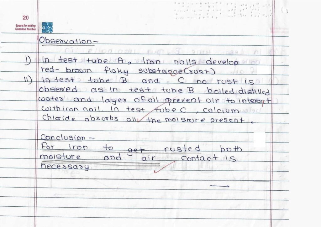 Score 80/80: CBSE Class 10 Science Topper Answer Sheet 2025 PDF + Marking Scheme