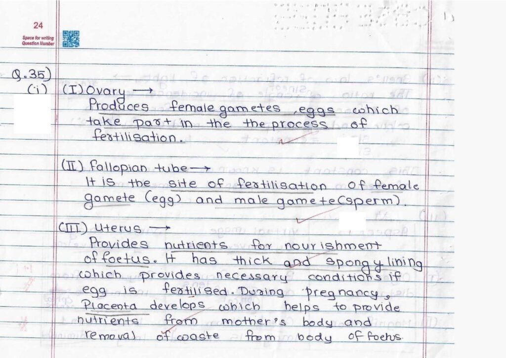 Score 80/80: CBSE Class 10 Science Topper Answer Sheet 2025 PDF + Marking Scheme