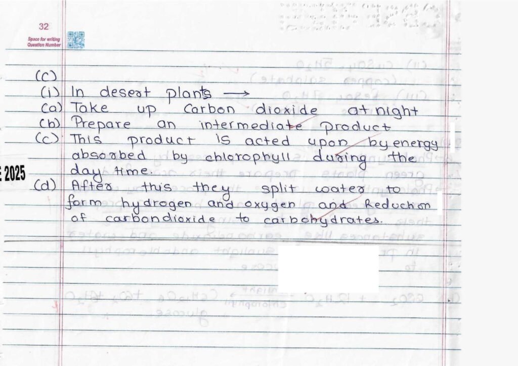 Score 80/80: CBSE Class 10 Science Topper Answer Sheet 2025 PDF + Marking Scheme