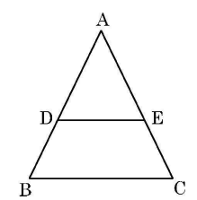 CBSE Class 10 Maths Topper Answer Sheet 2025: How to Score 100/100 (PDF Inside)