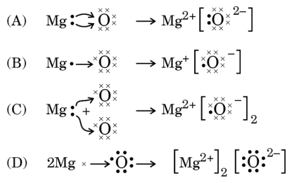 Score 80/80: CBSE Class 10 Science Topper Answer Sheet 2025 PDF + Marking Scheme