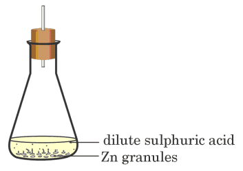 Score 80/80: CBSE Class 10 Science Topper Answer Sheet 2025 PDF + Marking Scheme