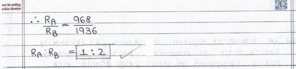 Score 80/80: CBSE Class 10 Science Topper Answer Sheet 2025 PDF + Marking Scheme