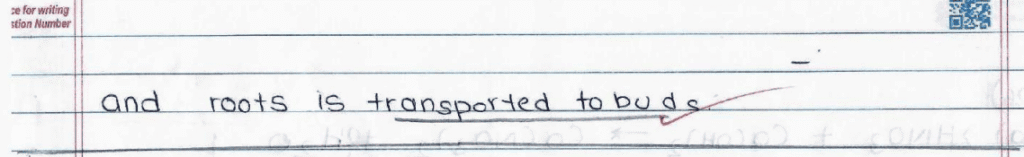 Score 80/80: CBSE Class 10 Science Topper Answer Sheet 2025 PDF + Marking Scheme