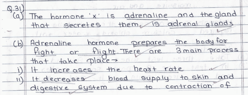 Score 80/80: CBSE Class 10 Science Topper Answer Sheet 2025 PDF + Marking Scheme