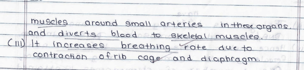 Score 80/80: CBSE Class 10 Science Topper Answer Sheet 2025 PDF + Marking Scheme