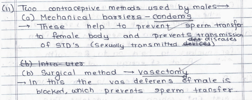 Score 80/80: CBSE Class 10 Science Topper Answer Sheet 2025 PDF + Marking Scheme