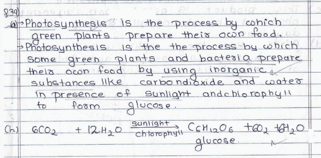Score 80/80: CBSE Class 10 Science Topper Answer Sheet 2025 PDF + Marking Scheme