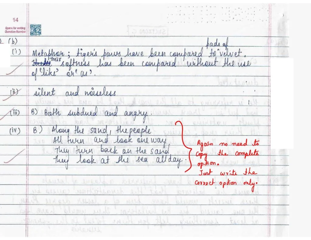 CBSE Class 10 English Topper Answer Sheet 2025 (Official PDF): Question Paper, Answers & Time Management Tips