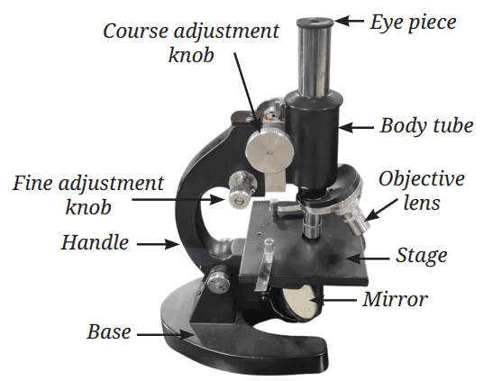 Structure of a light microscope