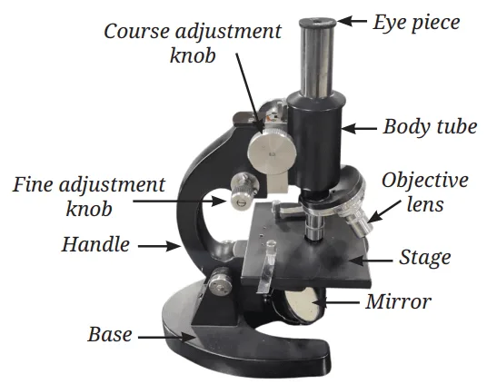 Structure of a light microscope